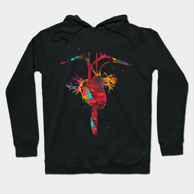 Heart anatomy Hoodie by erzebeth